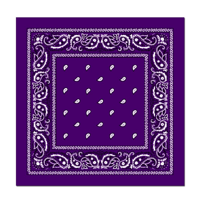 L&MÂ® 12Pcs Bandanas 100% Cotton Paisley Print Head Wrap Scarf Wristband (Purple)